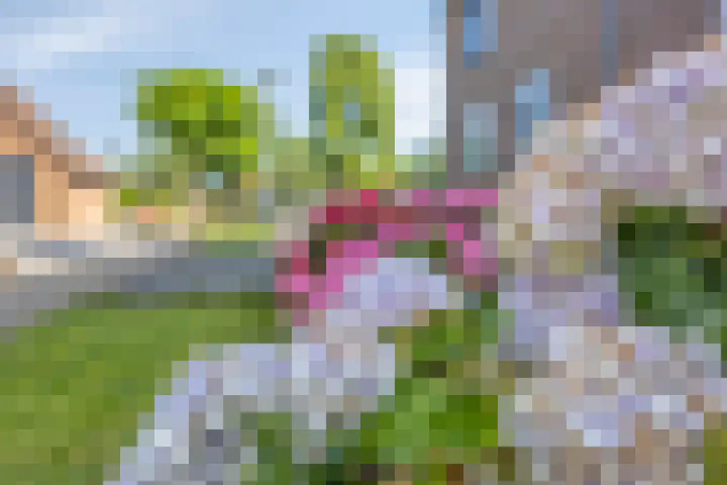 Weidepad 8 Streefkerk thumbnail 29