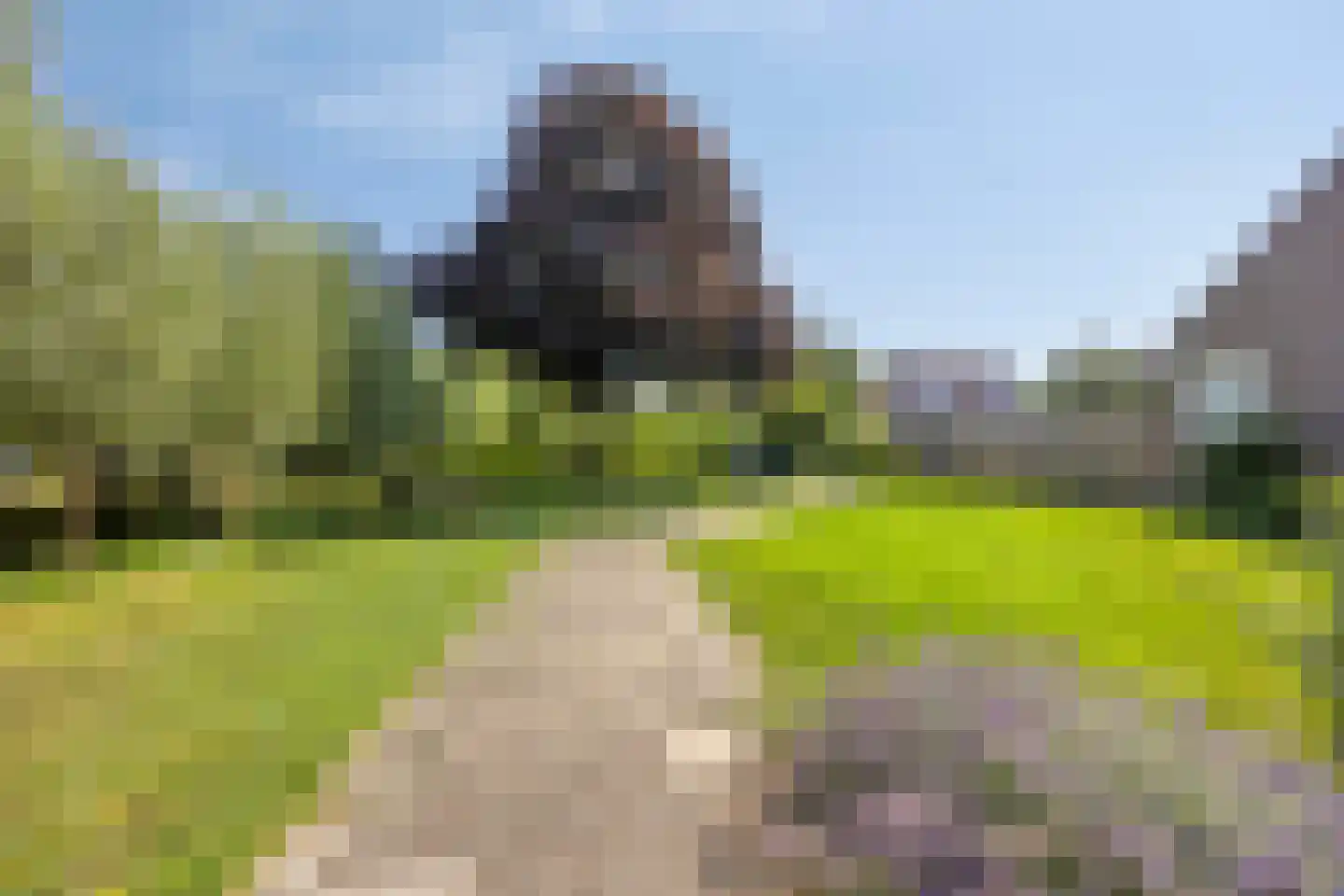 Weidepad 8 Streefkerk thumbnail 30