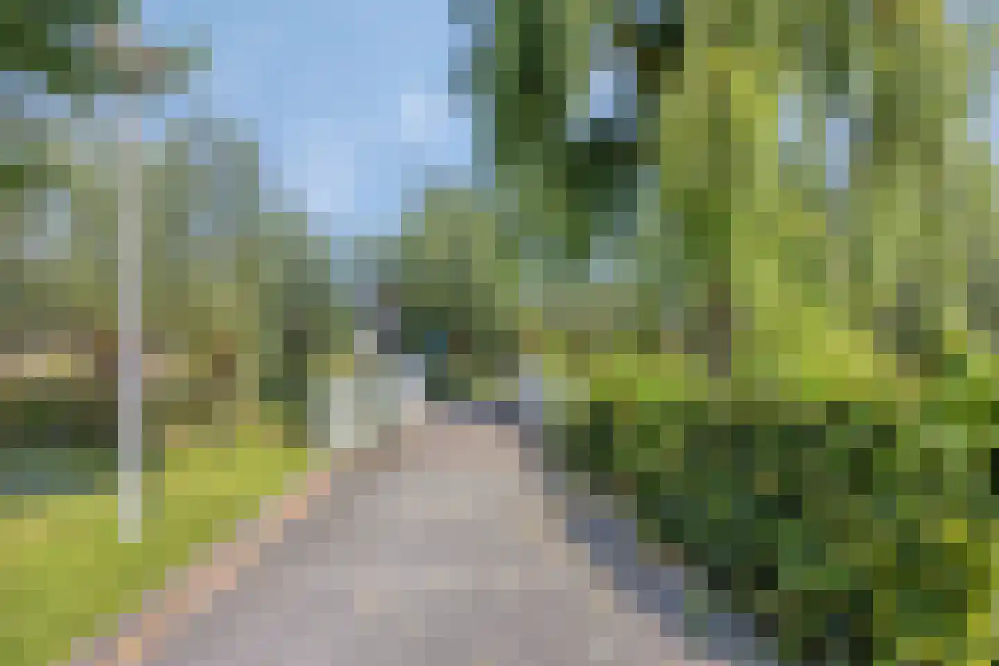 Weidepad 8 Streefkerk thumbnail 31