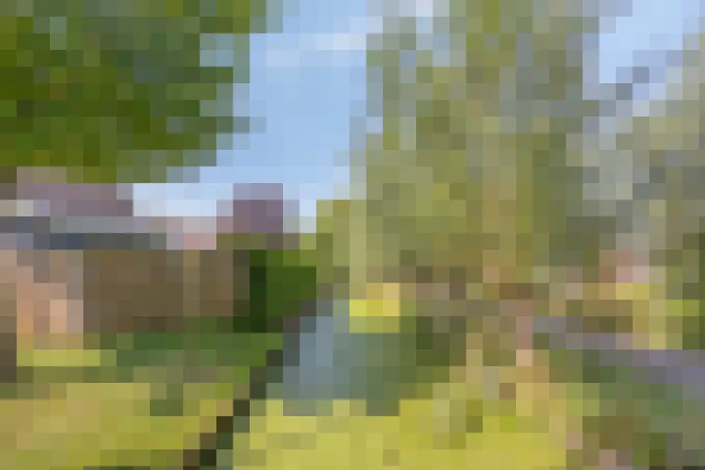 Weidepad 8 Streefkerk thumbnail 32