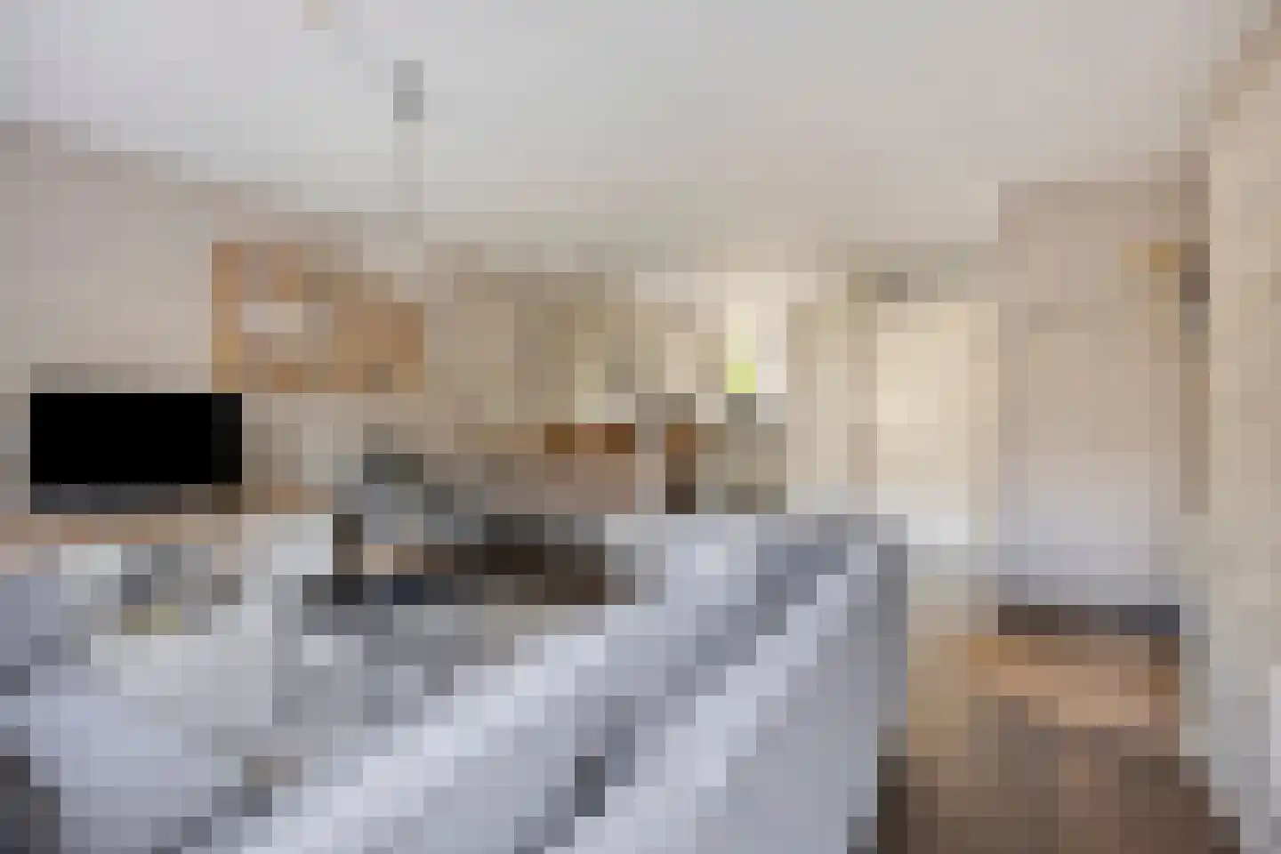 Weidepad 8 Streefkerk thumbnail 4