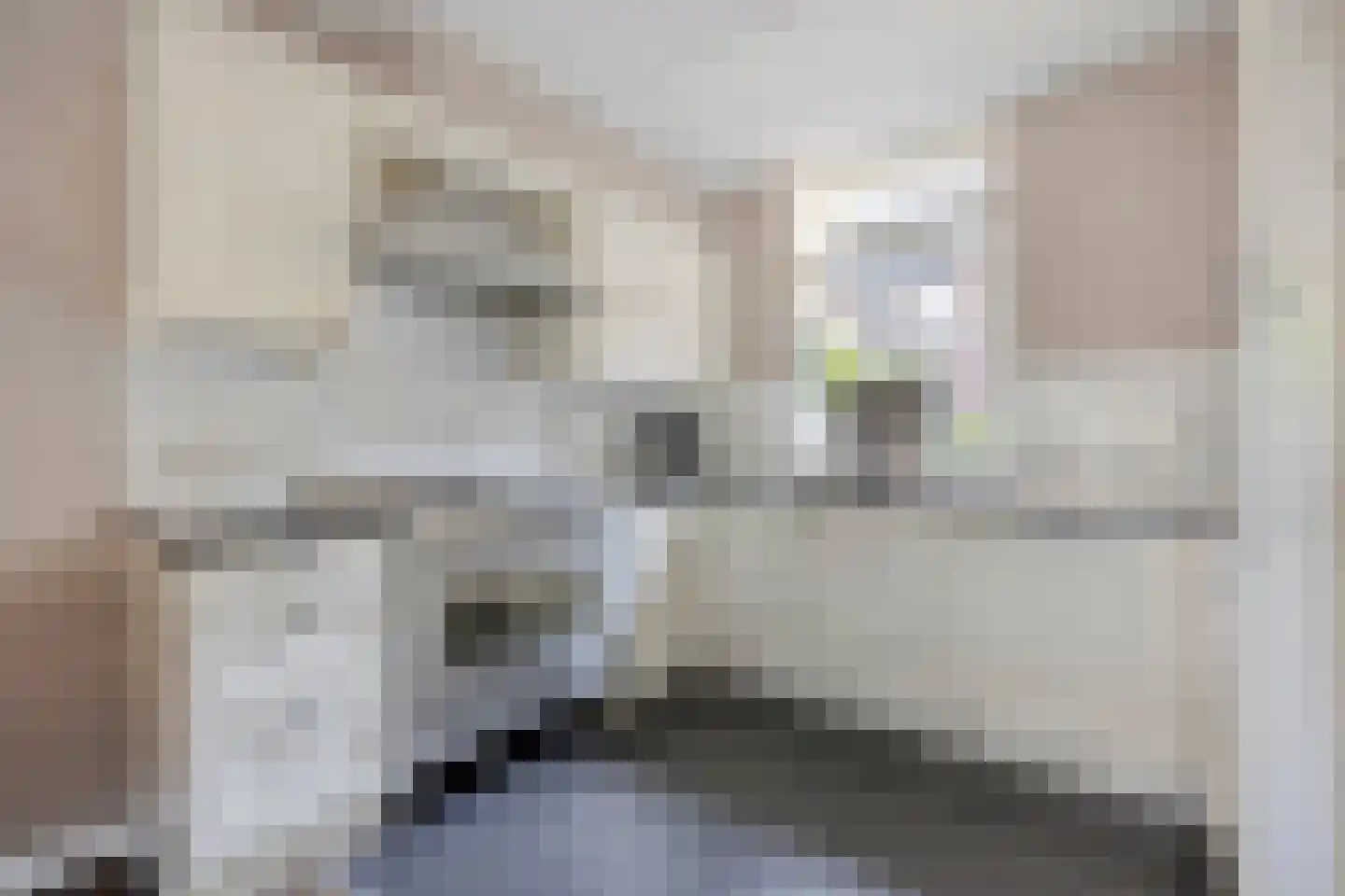 Weidepad 8 Streefkerk thumbnail 7