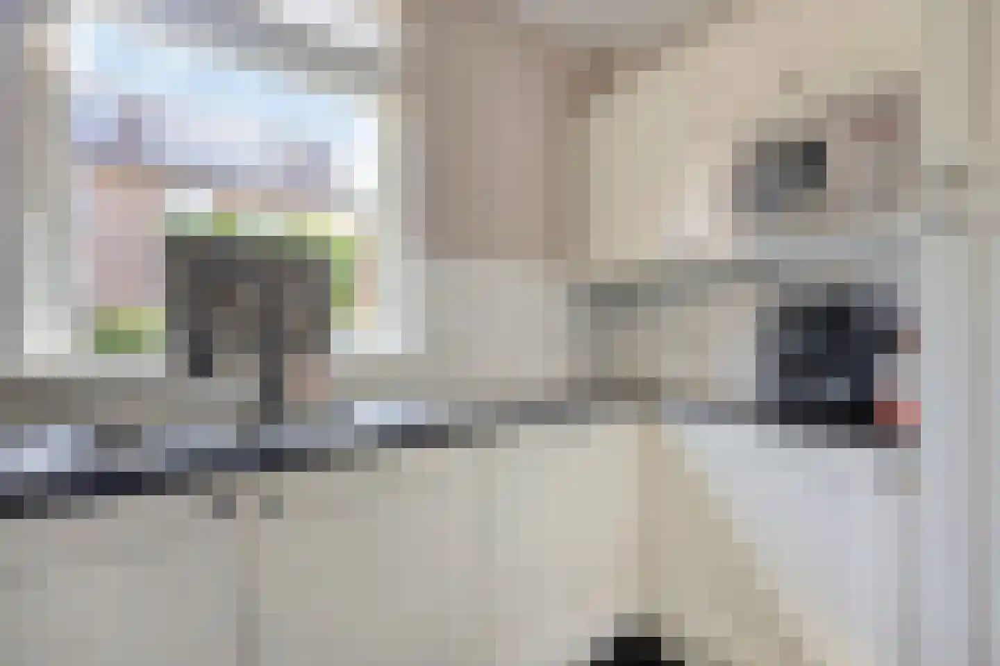 Weidepad 8 Streefkerk thumbnail 9
