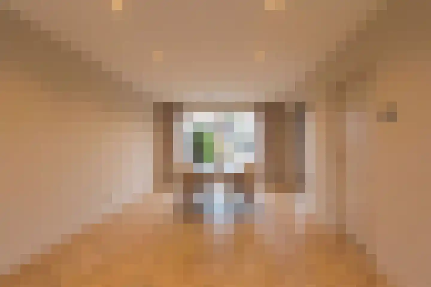 Weideplantsoen 19 Zevenhuizen thumbnail 10