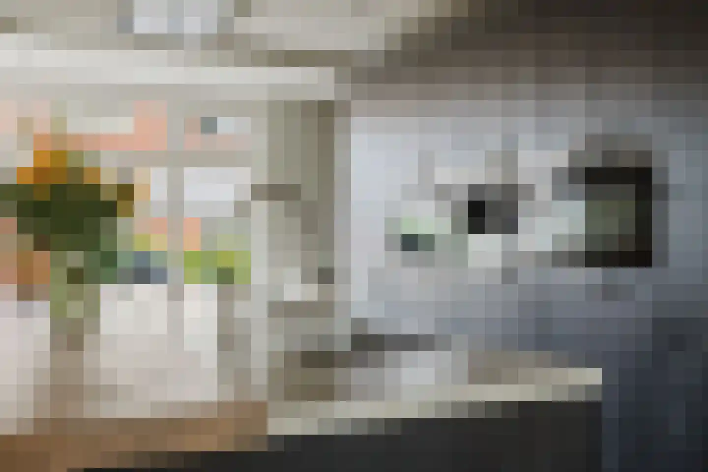 Weidepracht 2 Klein Zundert thumbnail 12