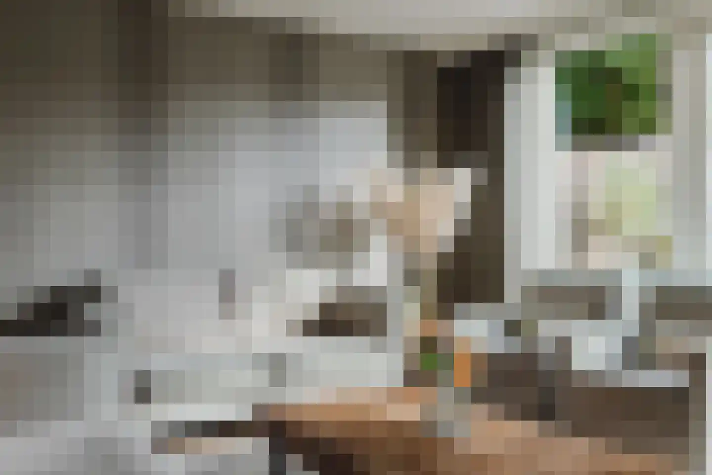 Weidepracht 2 Klein Zundert thumbnail 18