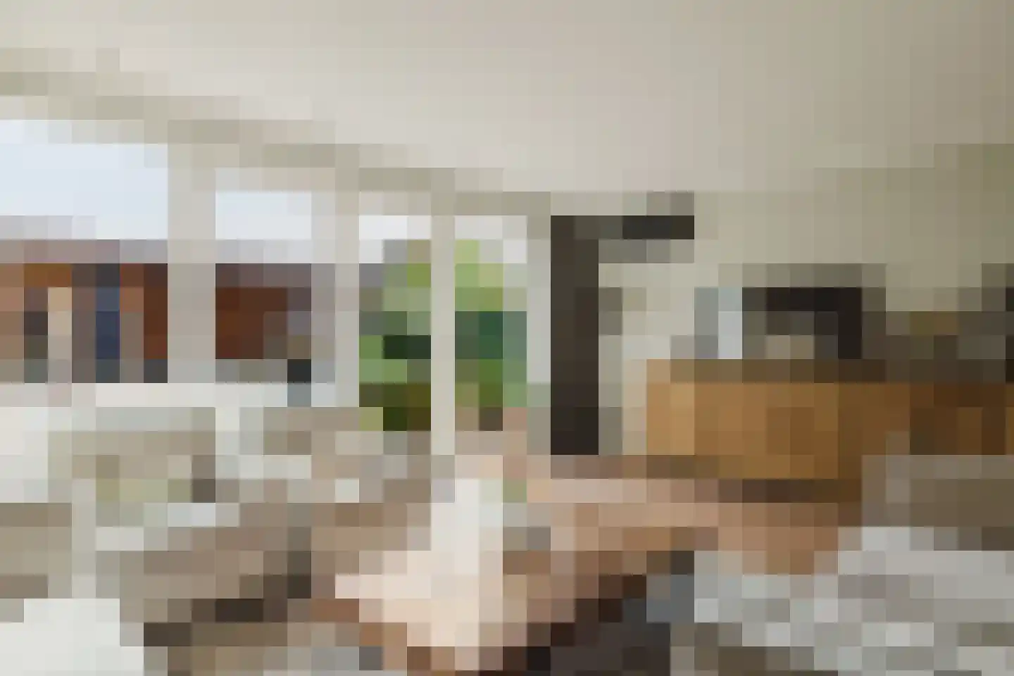 Weidepracht 2 Klein Zundert thumbnail 19