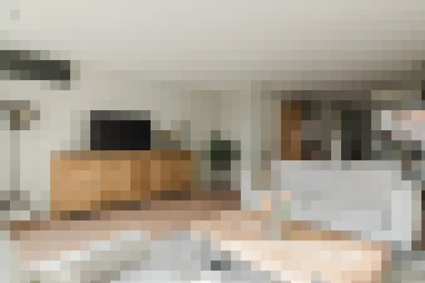 Weidepracht 2 Klein Zundert thumbnail 20