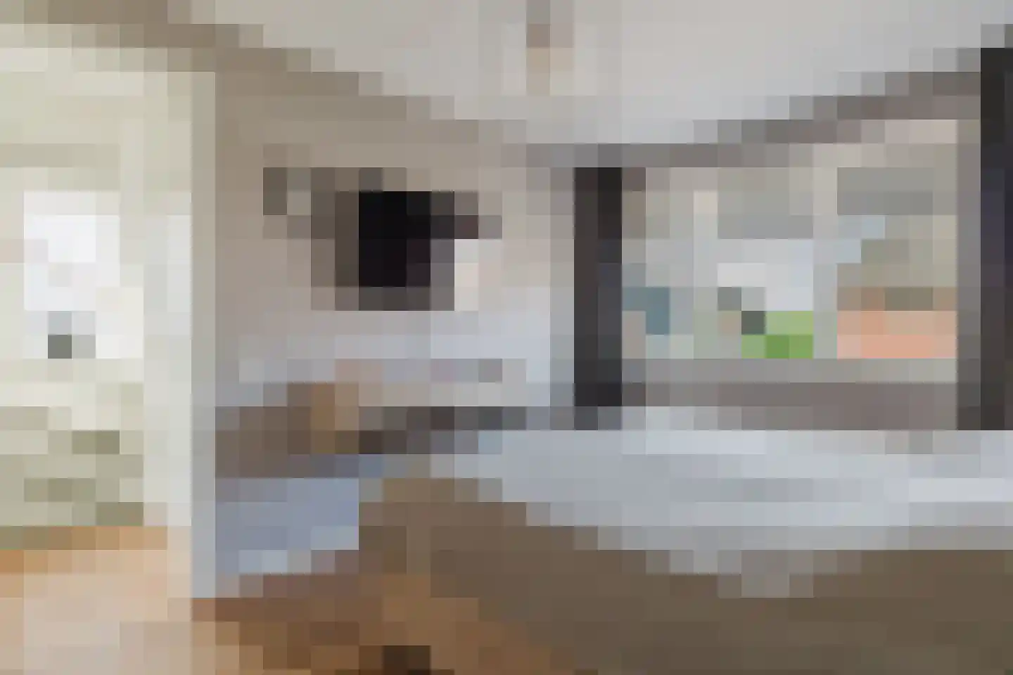 Weidepracht 2 Klein Zundert thumbnail 27