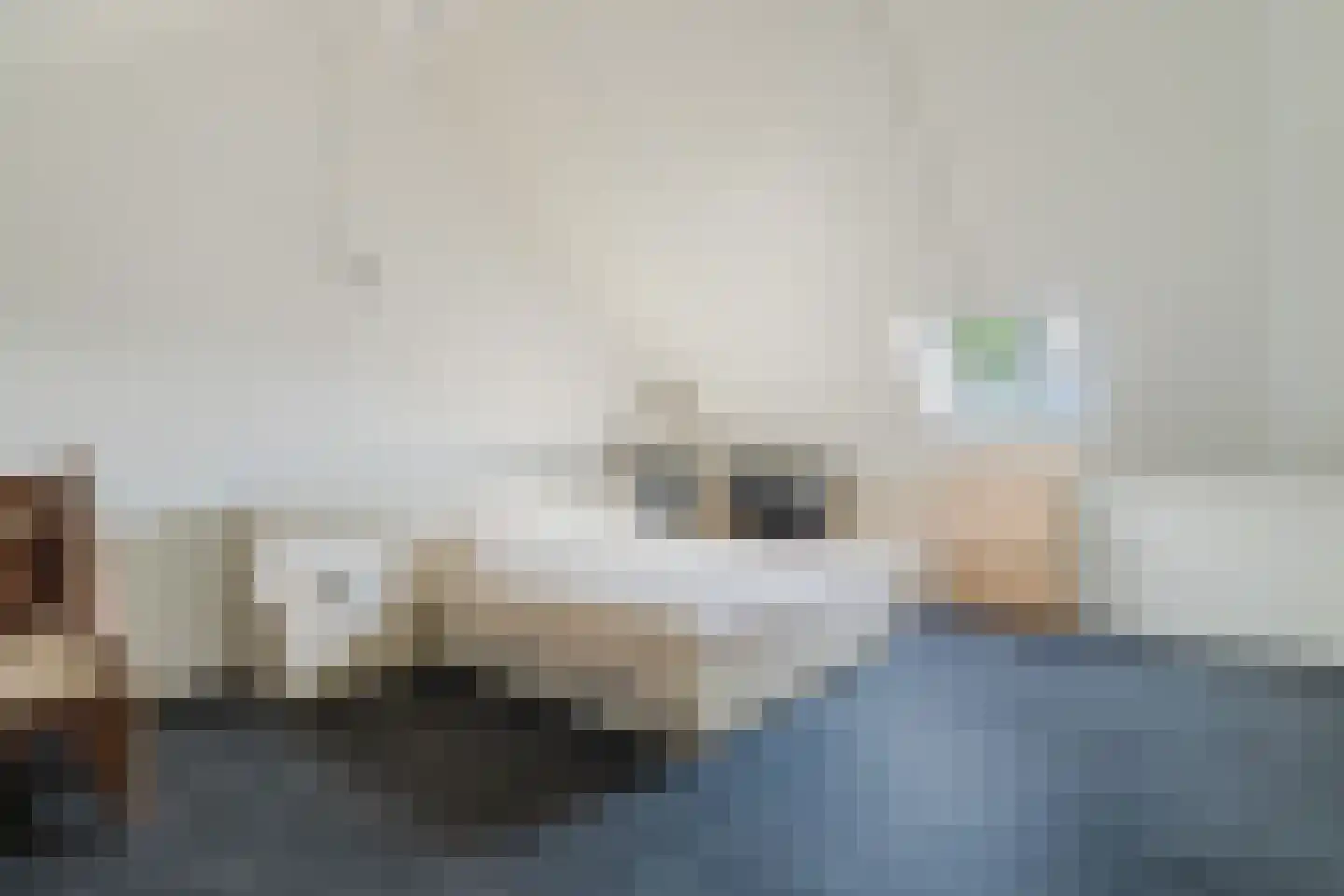 Weidepracht 2 Klein Zundert thumbnail 33