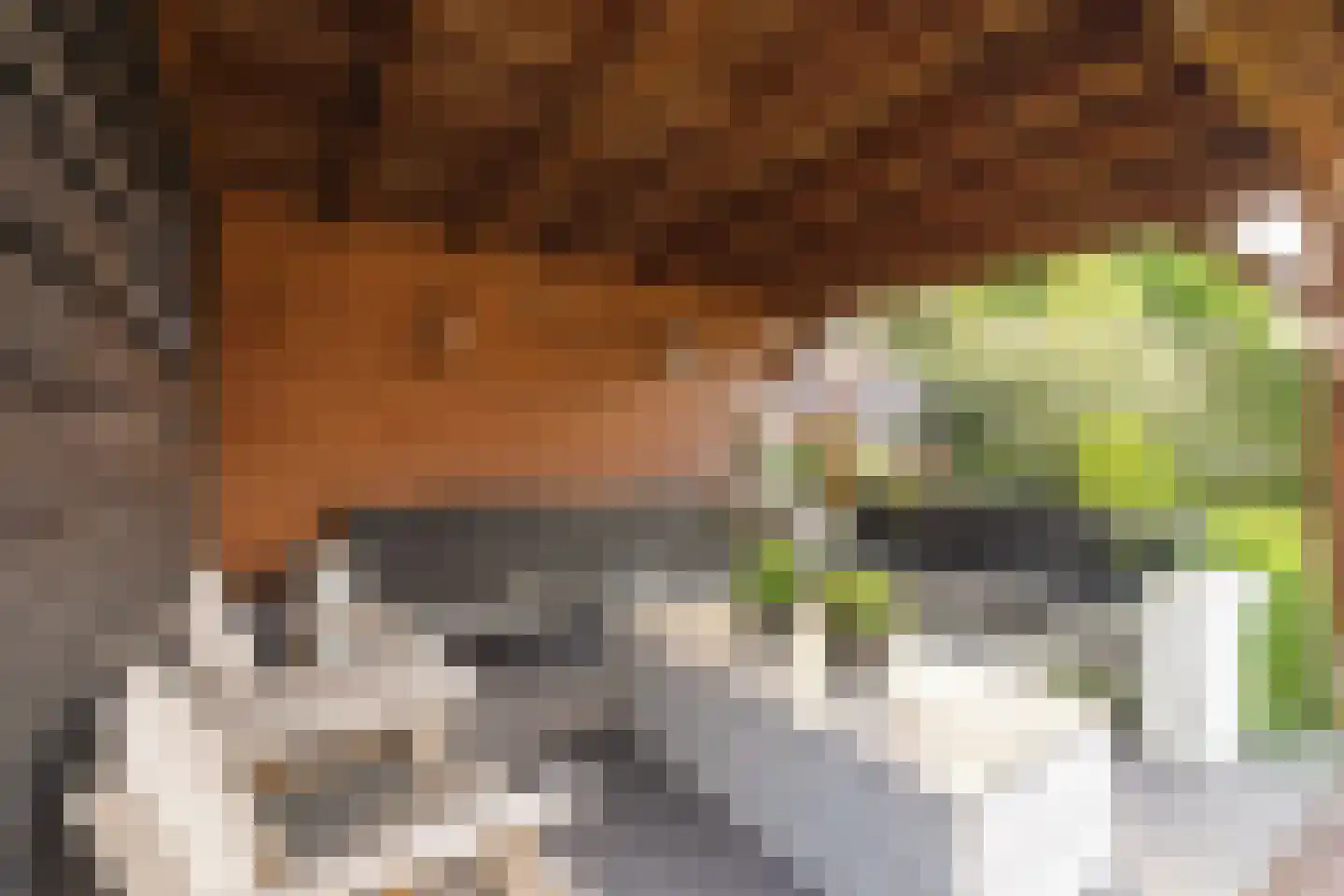 Weidepracht 2 Klein Zundert thumbnail 42