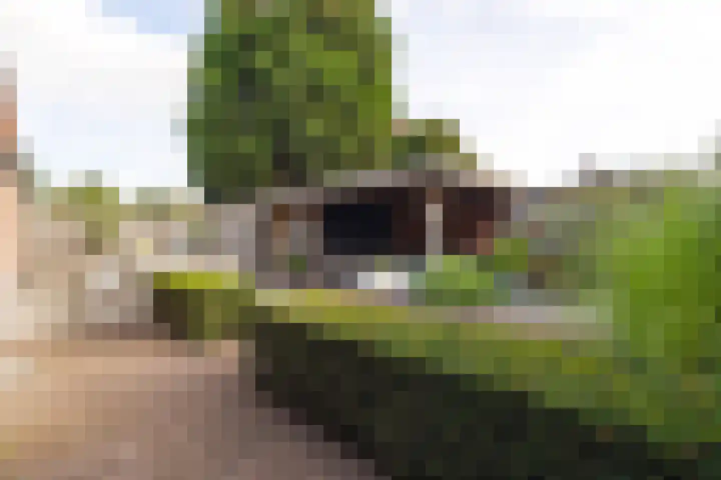 Weidepracht 2 Klein Zundert thumbnail 43