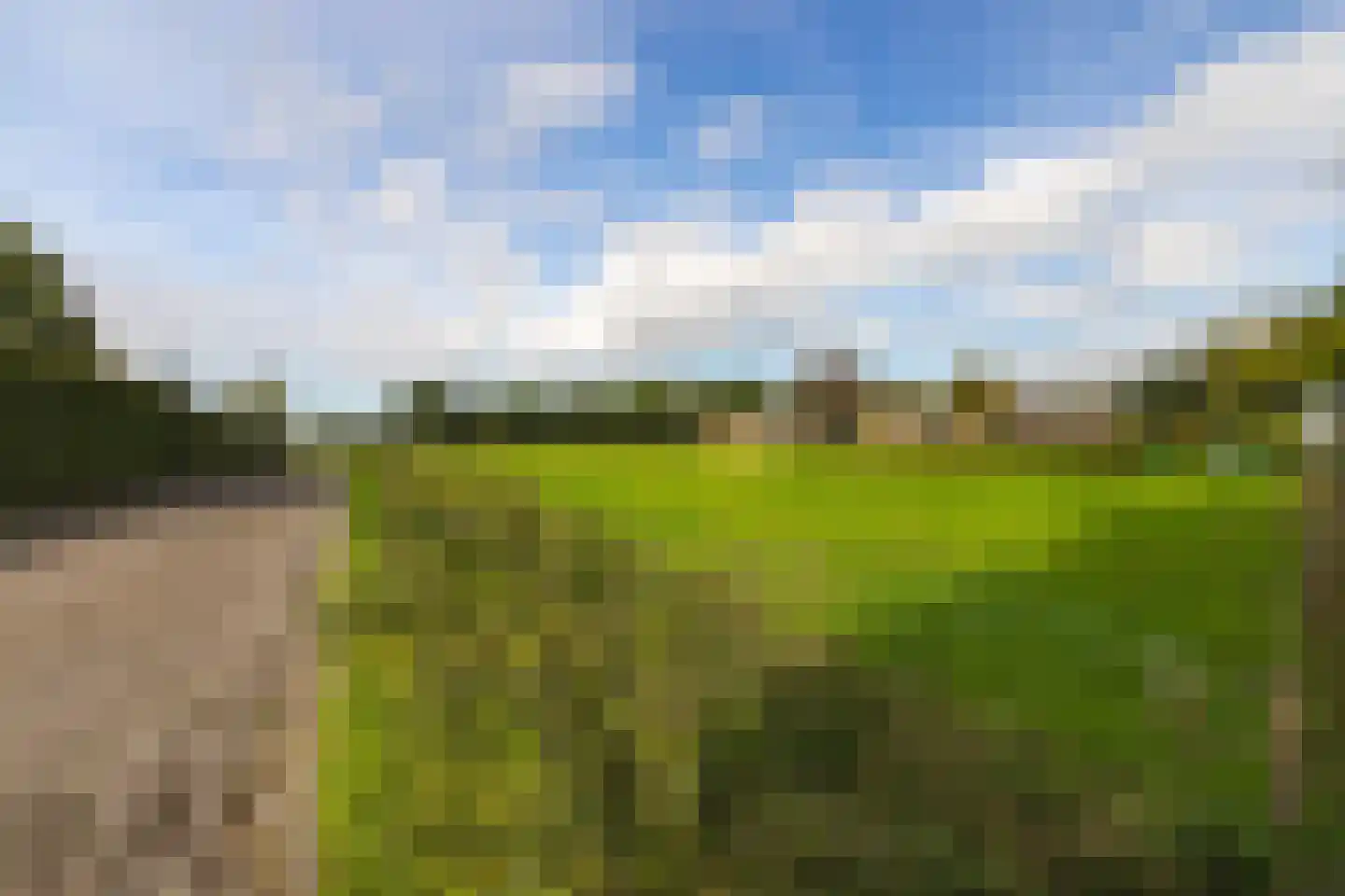 Weidepracht 2 Klein Zundert thumbnail 46