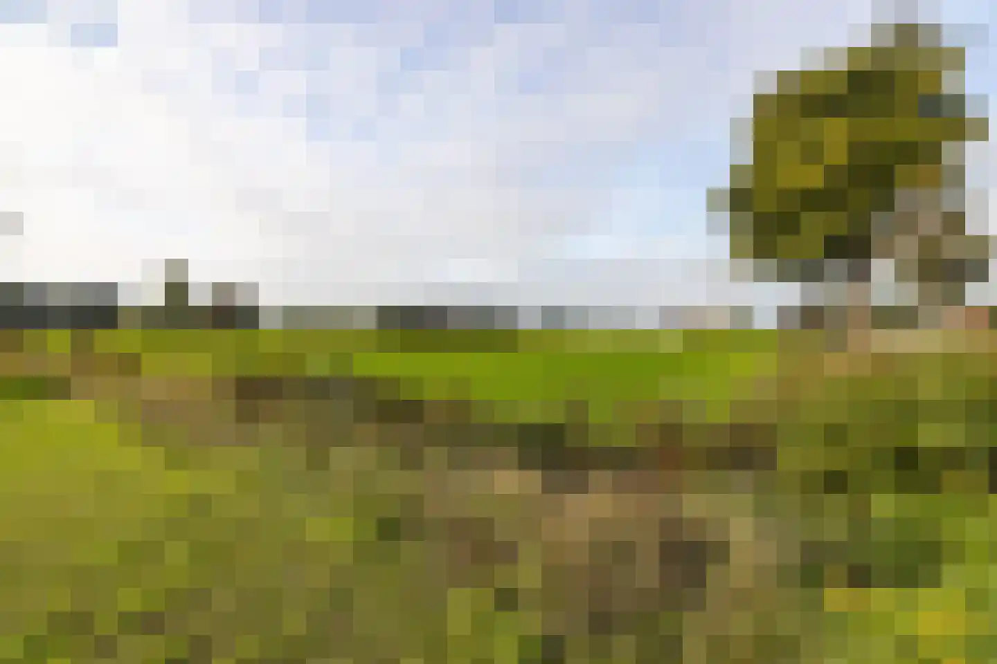 Weidepracht 2 Klein Zundert thumbnail 47