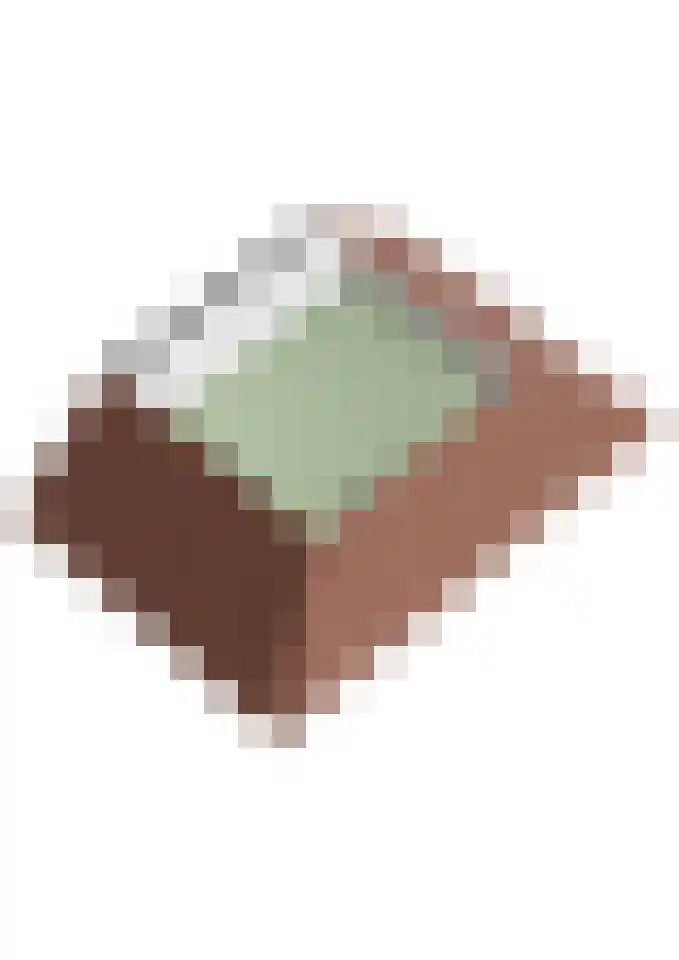 Weidepracht 2 Klein Zundert thumbnail 53