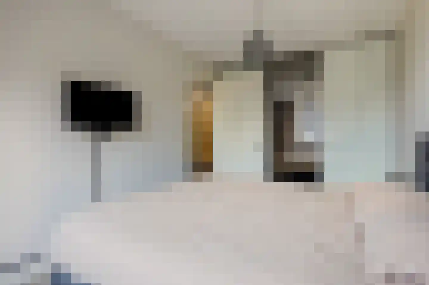 Weiderand 25 Vriezenveen thumbnail 17