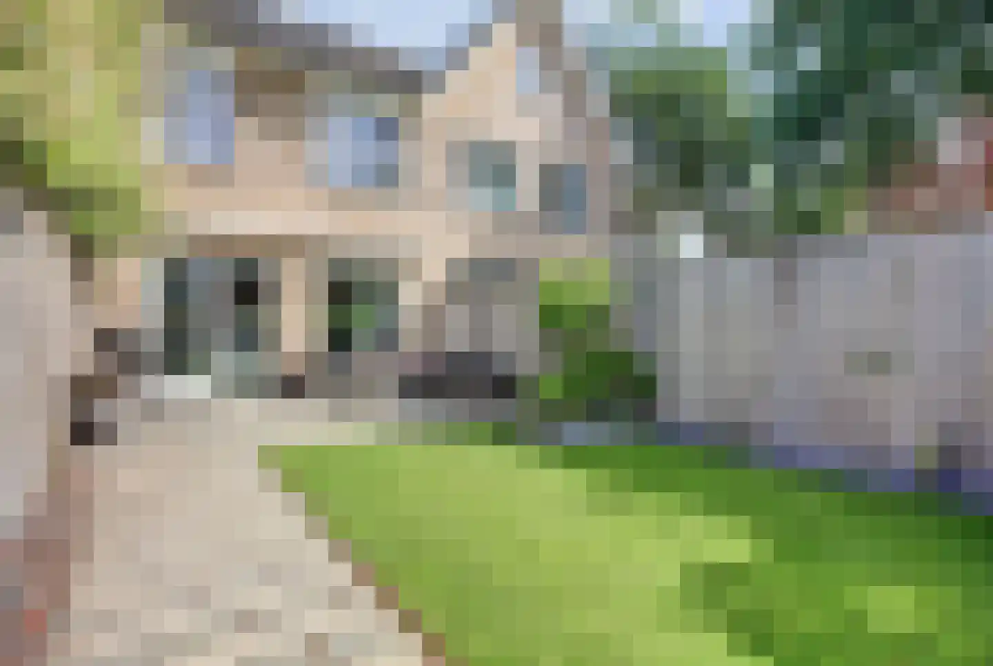 Weiderand 25 Vriezenveen thumbnail 28
