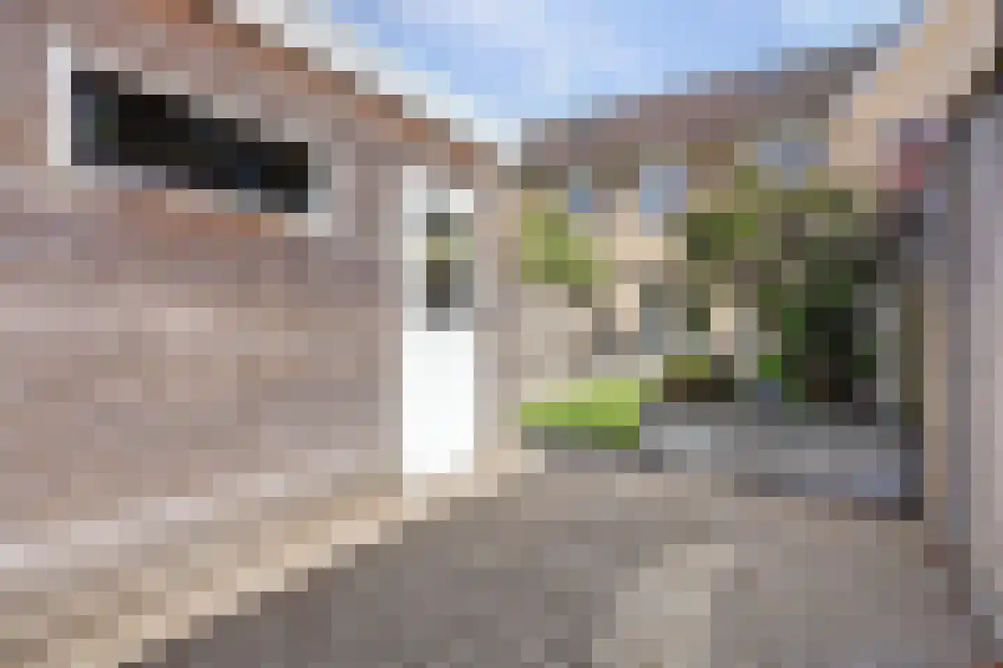 Weiderand 25 Vriezenveen thumbnail 32
