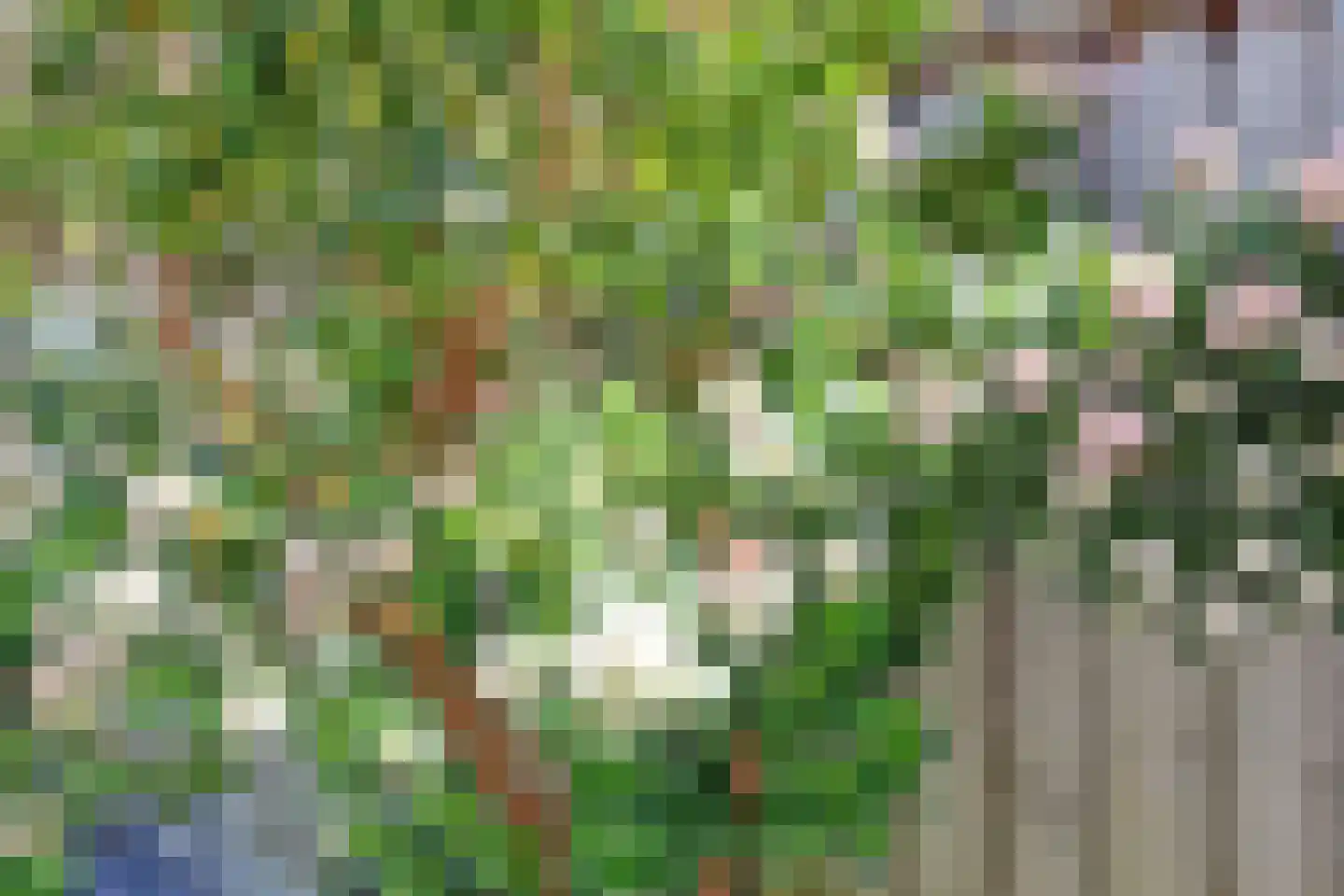 Weiderand 25 Vriezenveen thumbnail 33