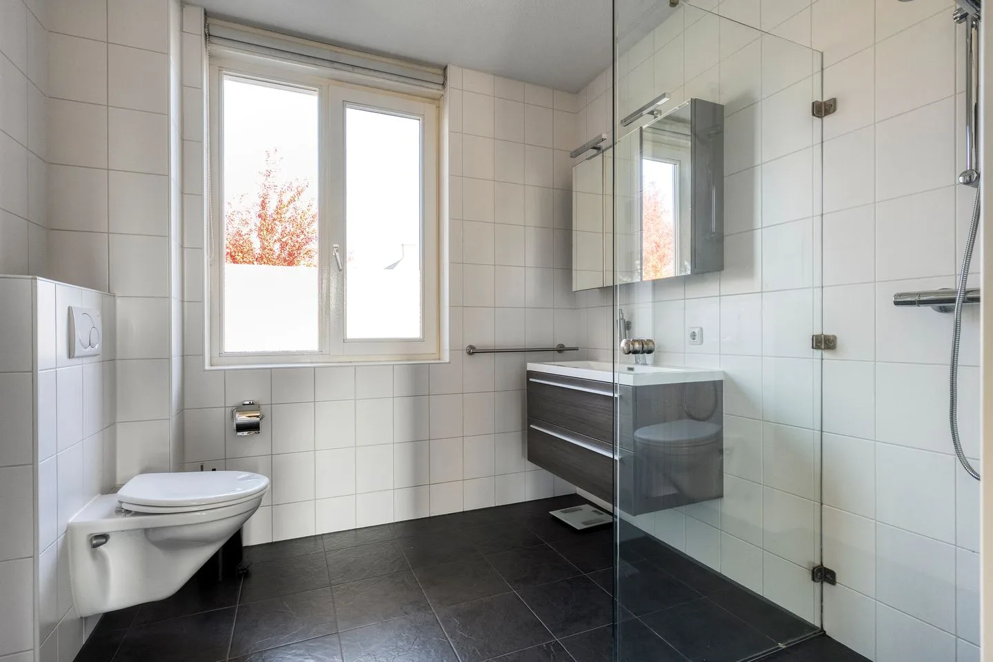 Weiderand 39 Vriezenveen thumbnail 25