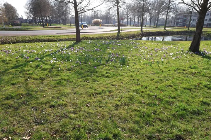 Weiderand 9 Vriezenveen thumbnail 34