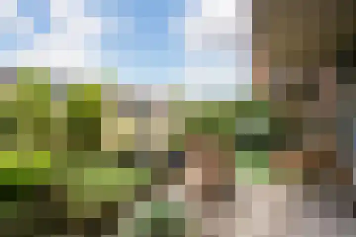 Weideslagen 19 Breda thumbnail 13