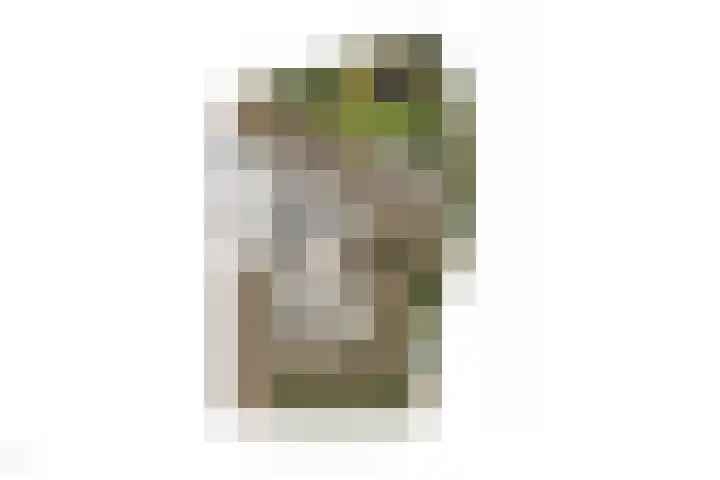 Weideslagen 19 Breda thumbnail 31