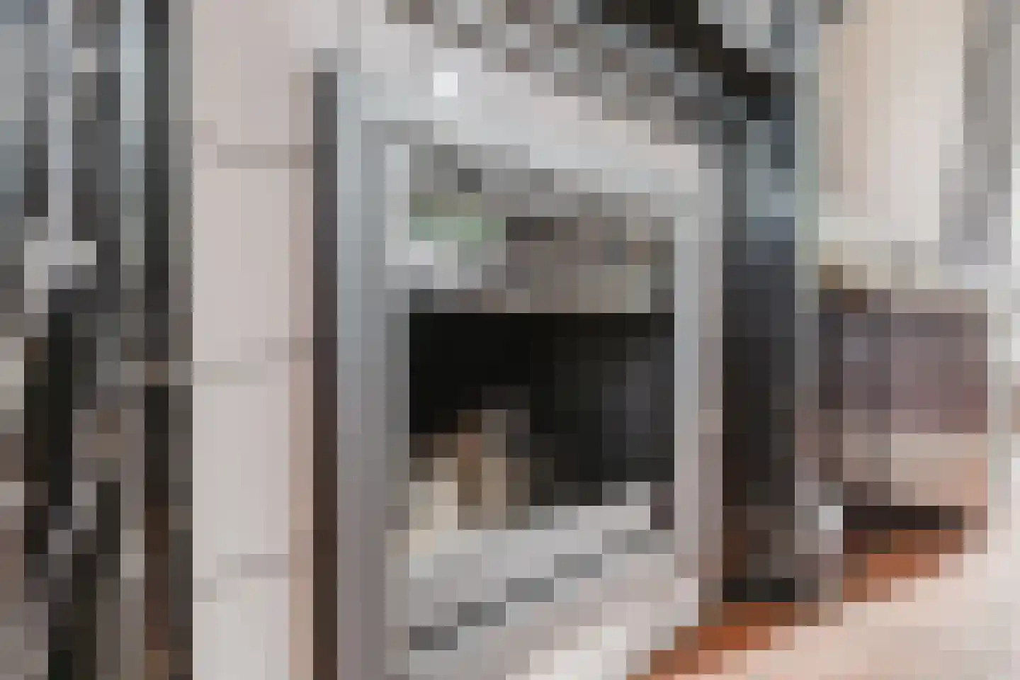 Weideslagen 19 Breda thumbnail 32