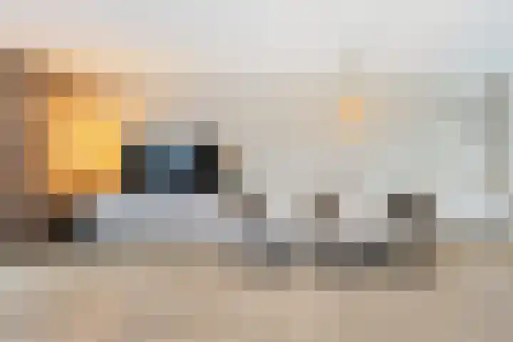 Weideslagen 22 Breda thumbnail 13