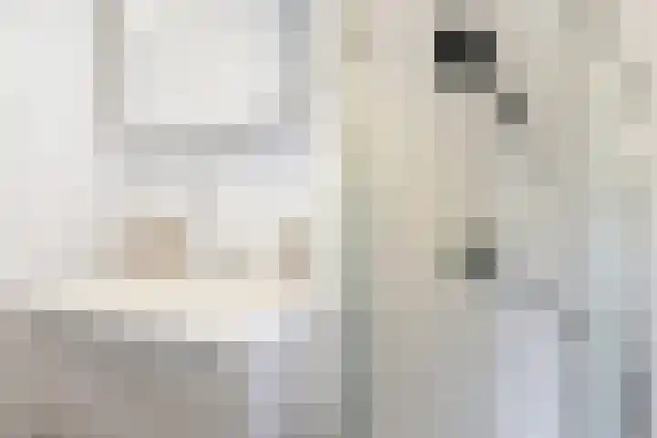 Weideslagen 22 Breda thumbnail 33