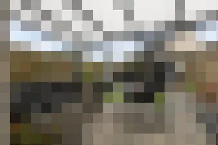 Weideslagen 22 Breda thumbnail 38