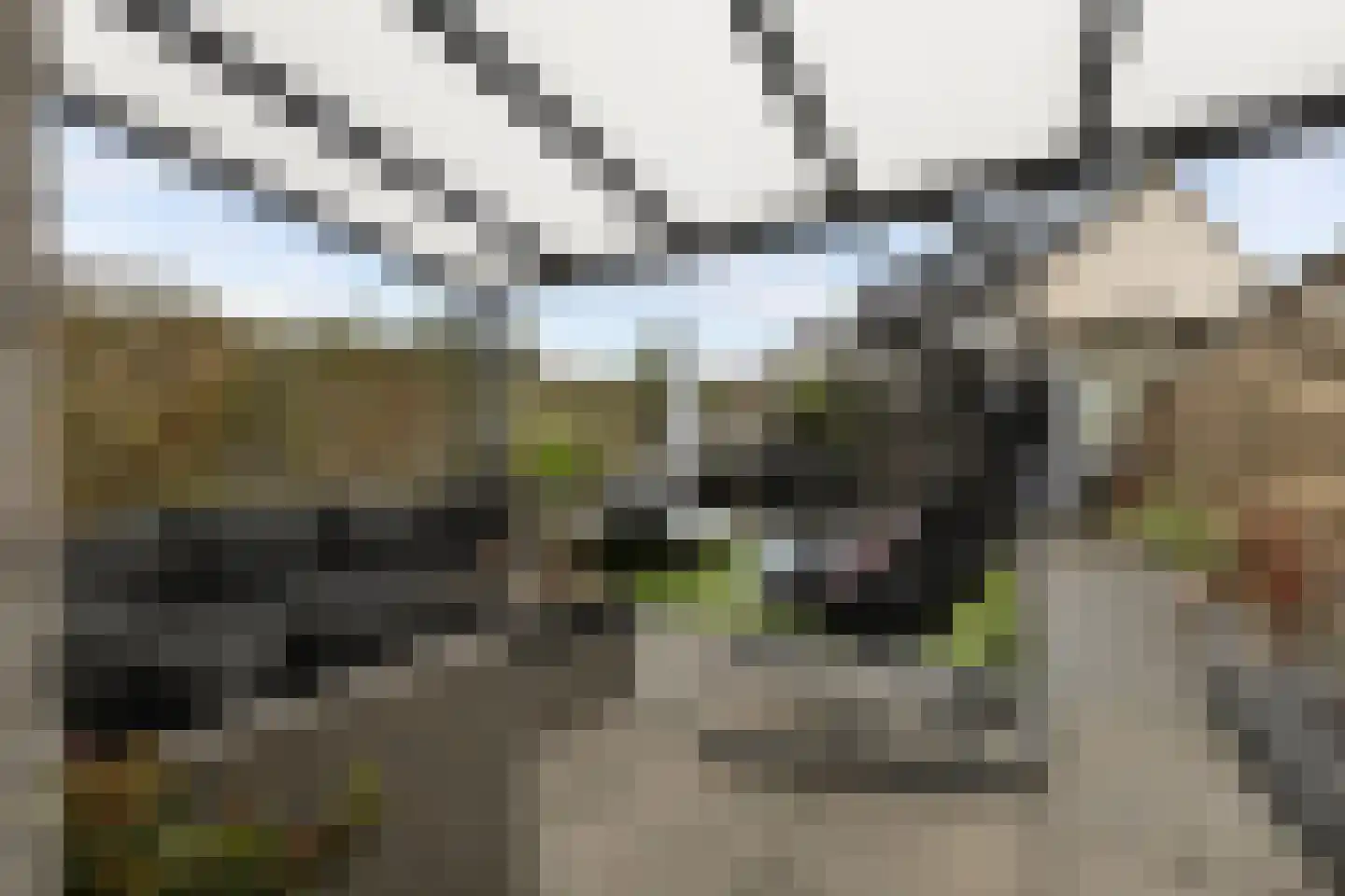 Weideslagen 22 Breda thumbnail 39