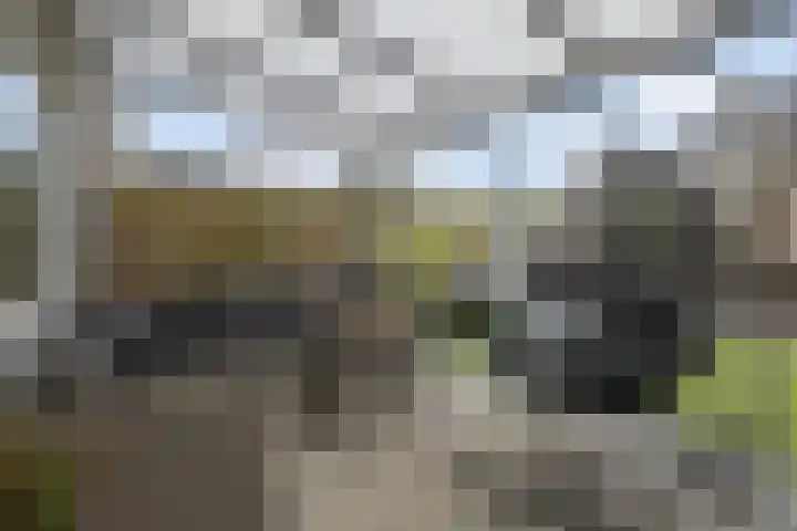 Weideslagen 22 Breda thumbnail 39