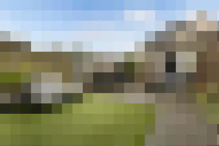 Weideslagen 22 Breda thumbnail 41