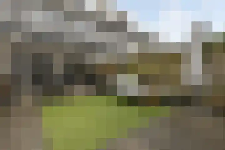 Weideslagen 22 Breda thumbnail 44