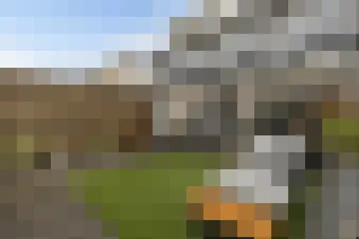Weideslagen 22 Breda thumbnail 45