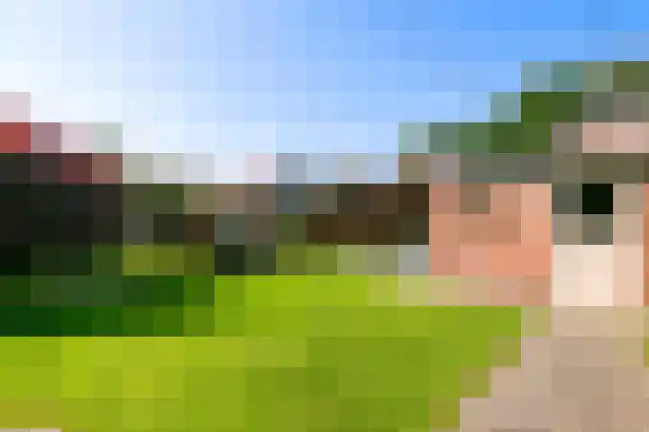 Weidestraat 11 Didam thumbnail 11