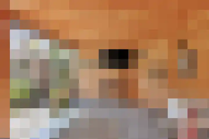 Weidestraat 11 Didam thumbnail 13