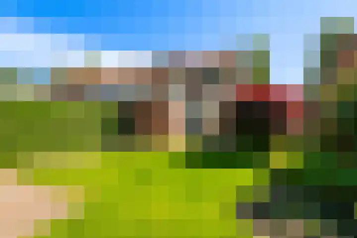 Weidestraat 11 Didam thumbnail 14