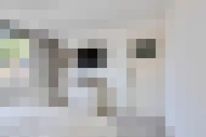 Weidestraat 11 Didam thumbnail 18