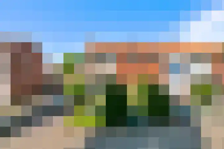 Weidestraat 11 Didam thumbnail 25