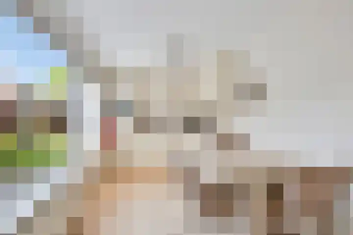 Weidestraat 11 Didam thumbnail 7