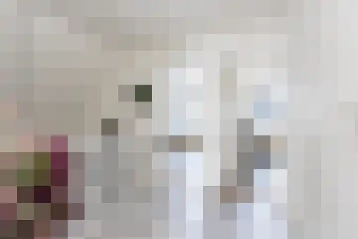 Weidestraat 11 Genderen thumbnail 21