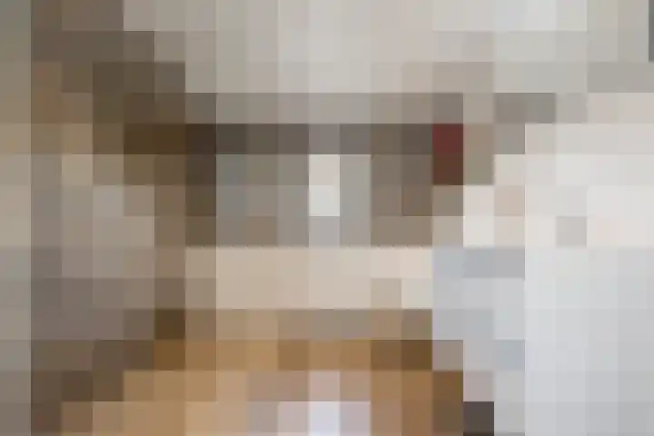 Weidestraat 11 Genderen thumbnail 27