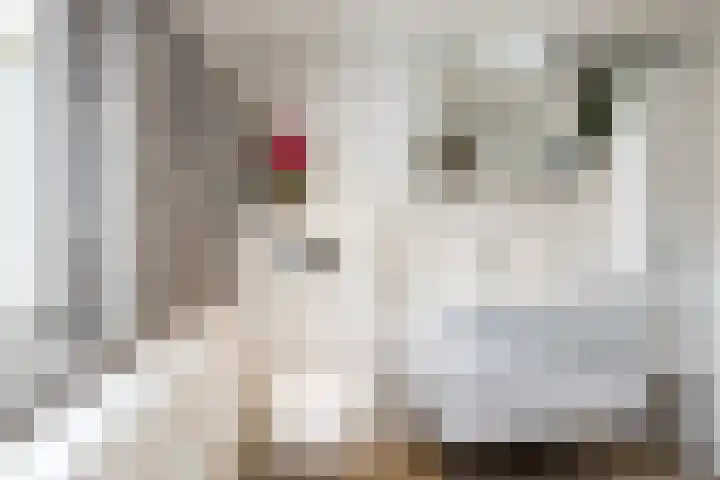 Weidestraat 11 Genderen thumbnail 28