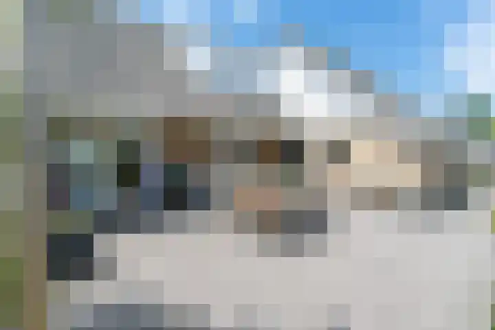 Weidestraat 11 Genderen thumbnail 35