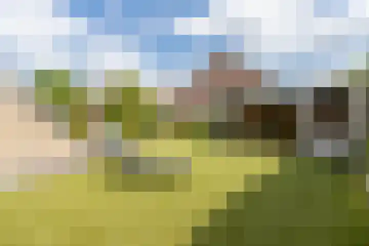 Weidestraat 11 Genderen thumbnail 36