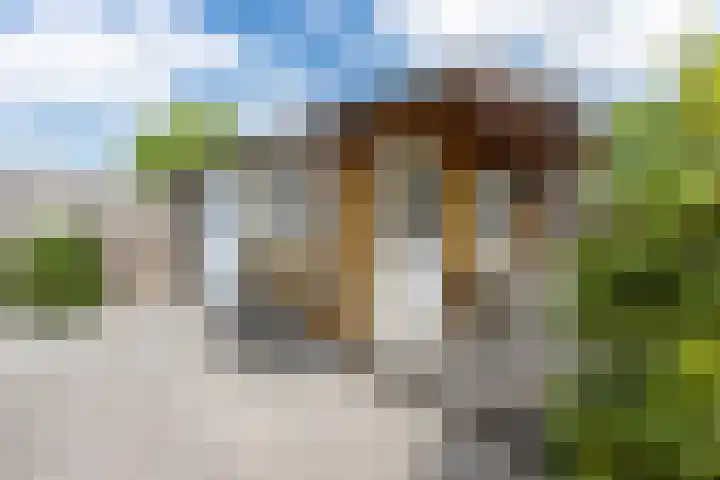 Weidestraat 11 Genderen thumbnail 39
