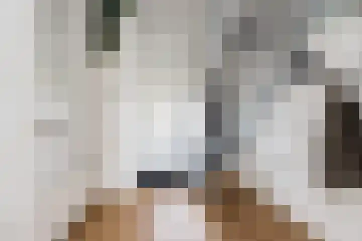 Weidestraat 11 Genderen thumbnail 6
