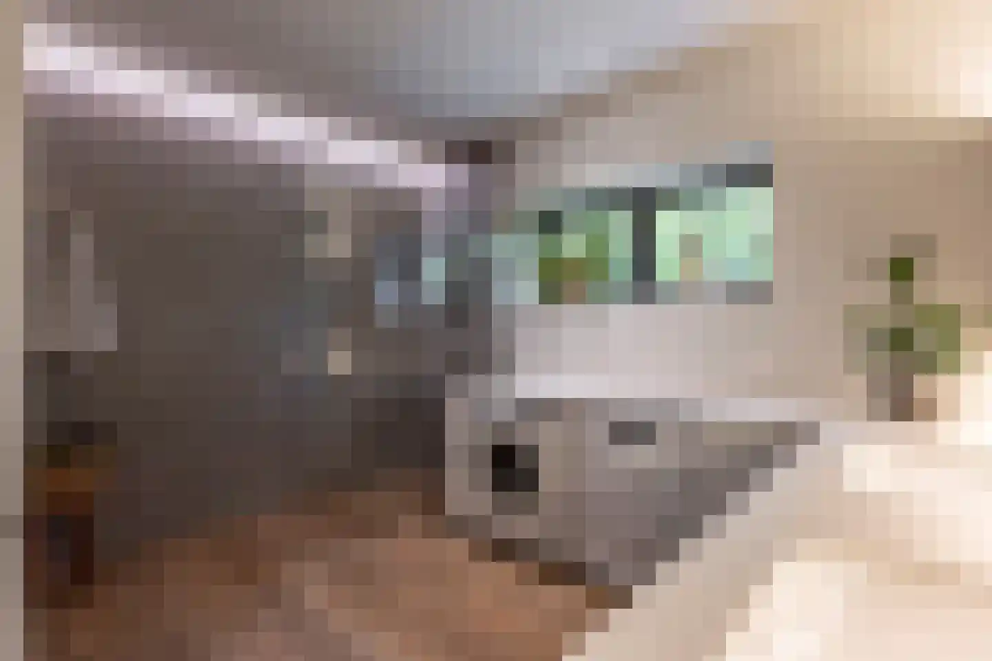 Weidestraat 11 Haskerdijken thumbnail 20